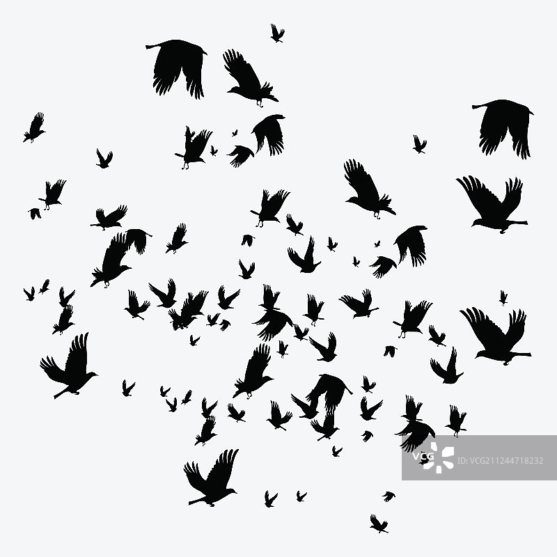 鸟群黑色轮廓剪影图片素材