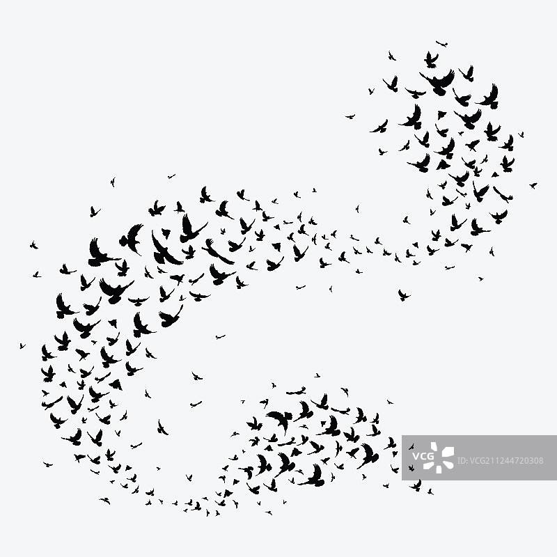 鸟群黑色轮廓剪影图片素材