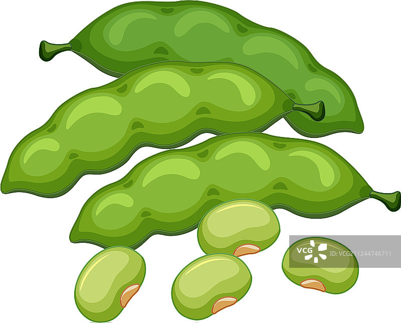 白色背景上的绿豆图片素材