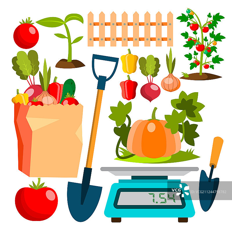 生态蔬菜园艺菜园图片素材