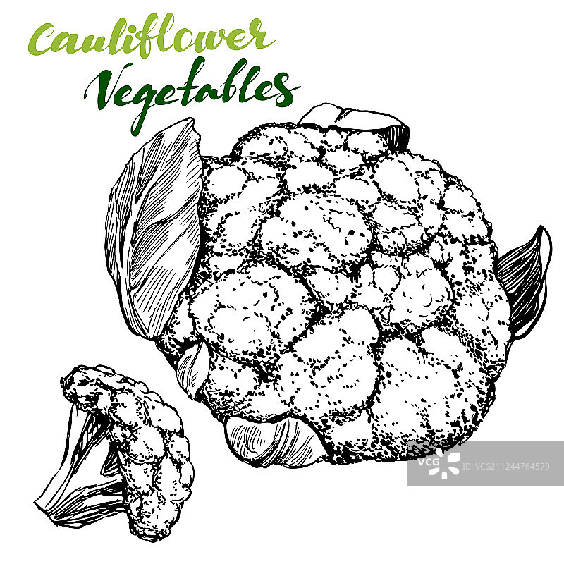 精雕细琢的菜花蔬菜套装图片素材