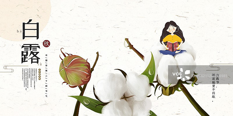 24节气之白露展板图片素材