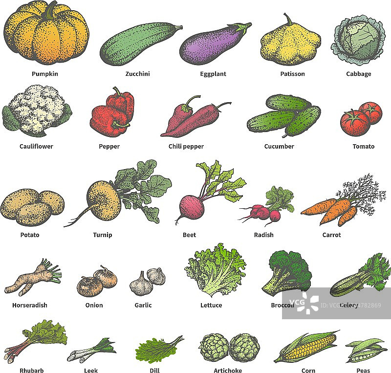 各色成熟蔬菜大型合集图片素材