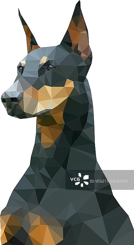 杜宾犬图片素材