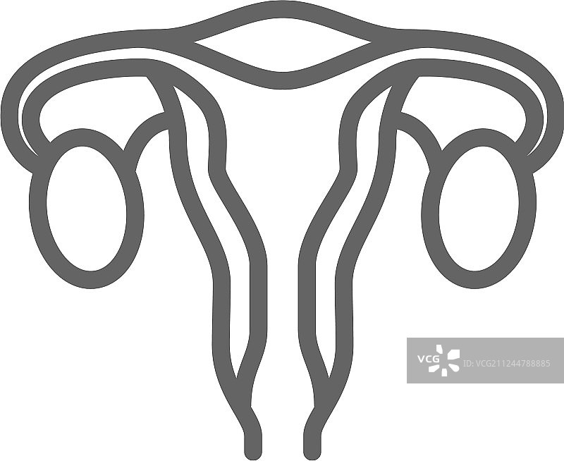 简约女性生殖系统子宫图片素材