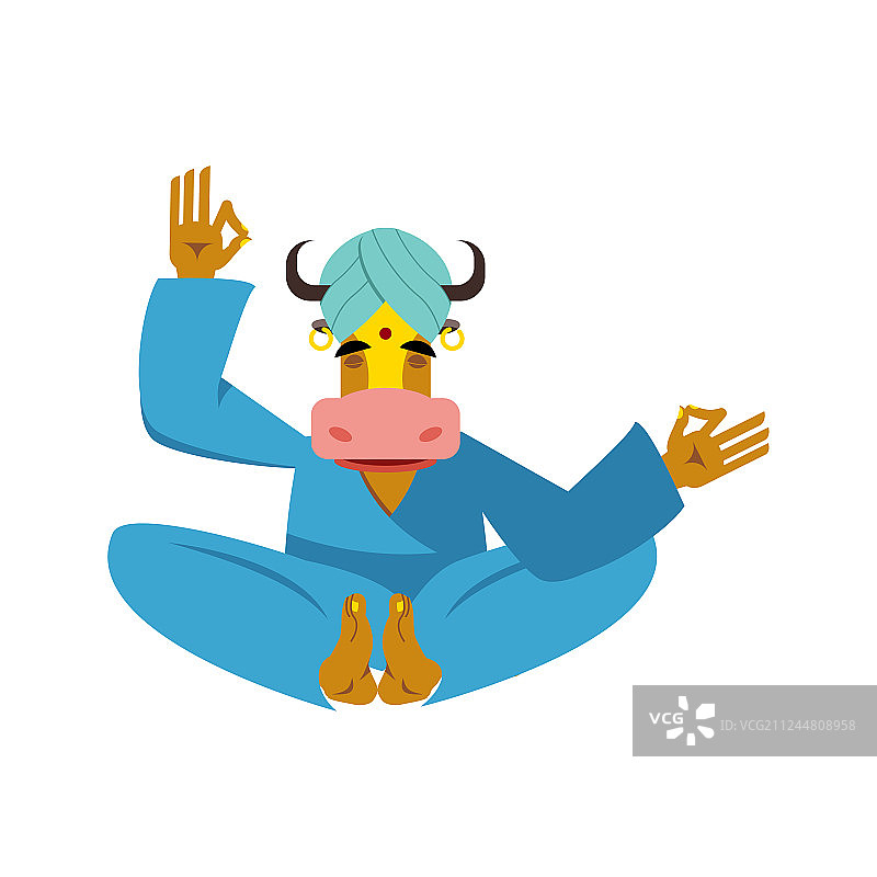 印度的苏拉比神圣之牛瑜伽图片素材