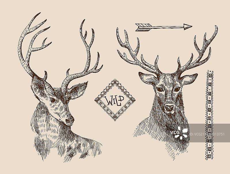 手绘鹿图片素材