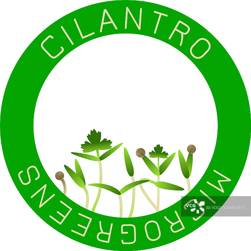 香菜微型蔬菜种子圆形包装设计图片素材