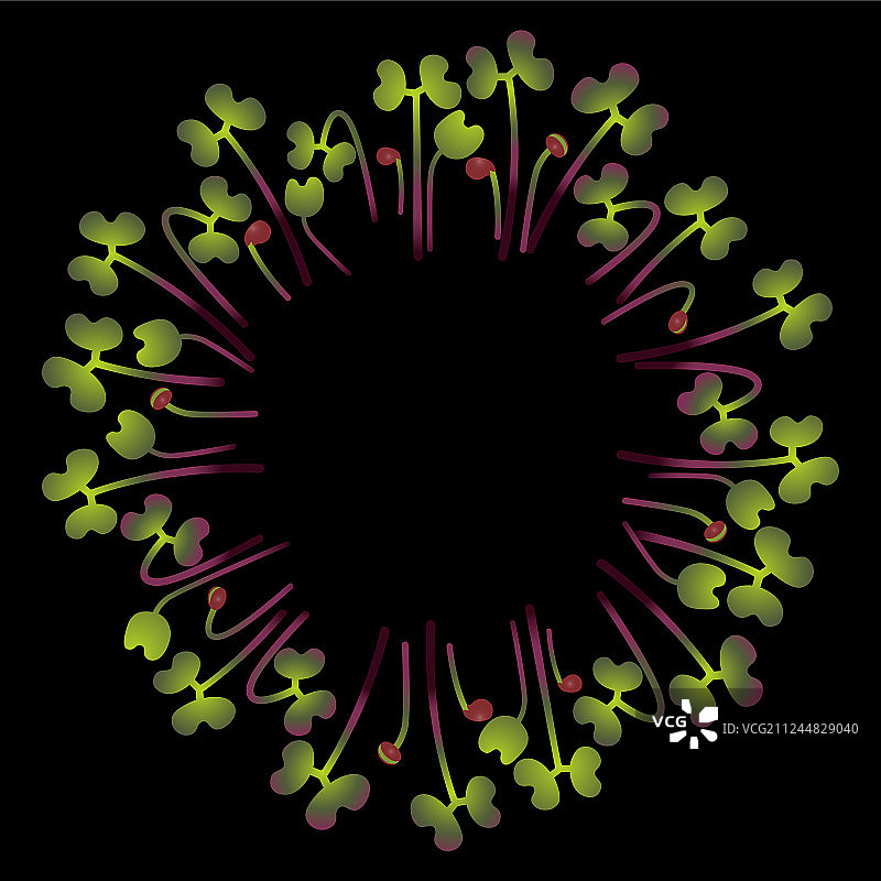 圆圈排列的微型红色卷心菜图片素材