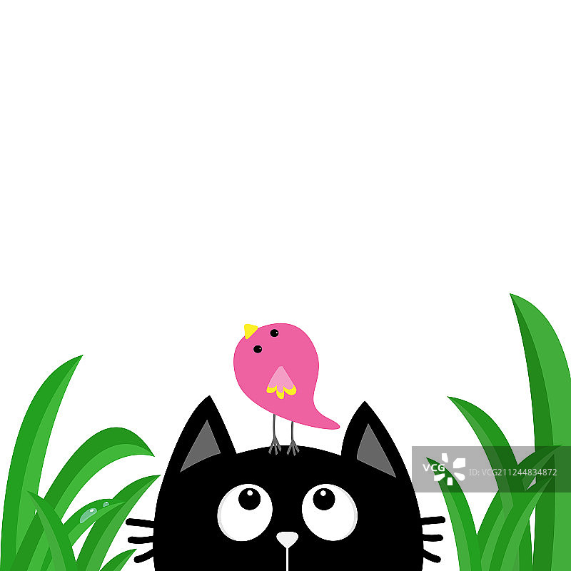 抬头看鸟的黑猫头像剪影图片素材