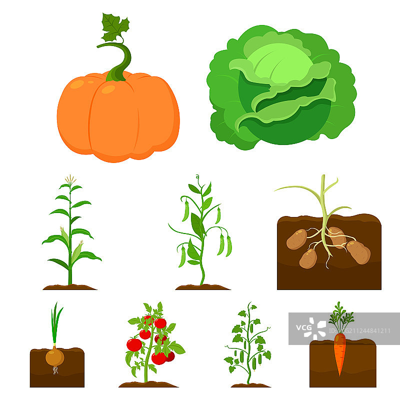 卡通风格植物图标合集图片素材