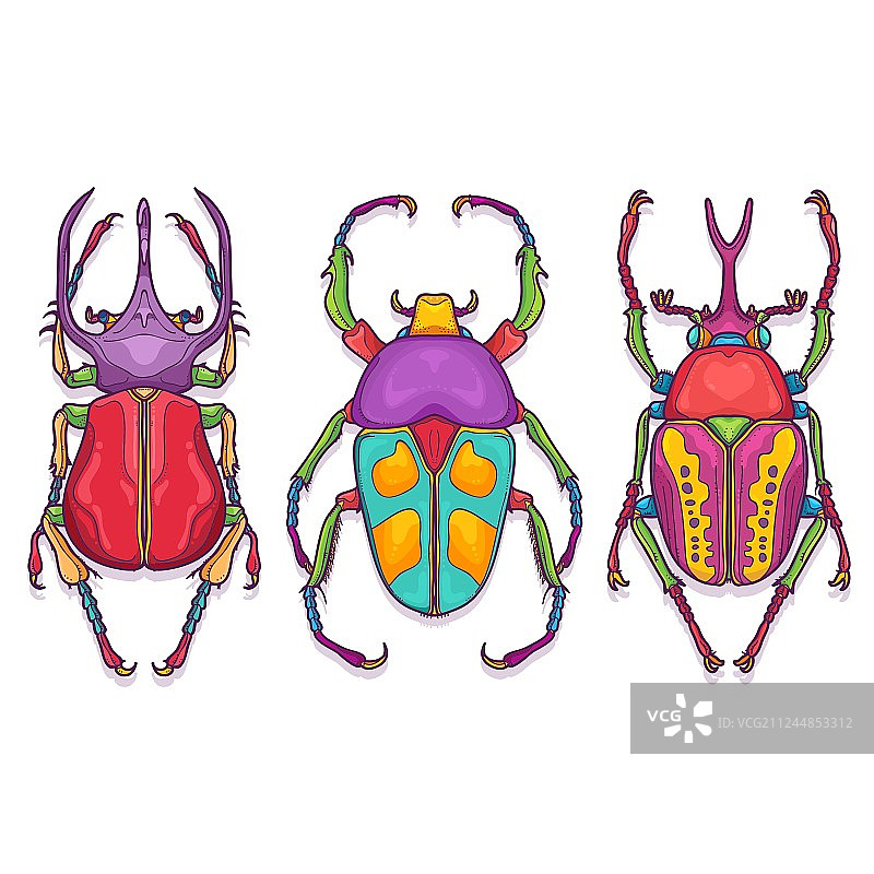3个手绘甲虫昆虫彩色图案图片素材