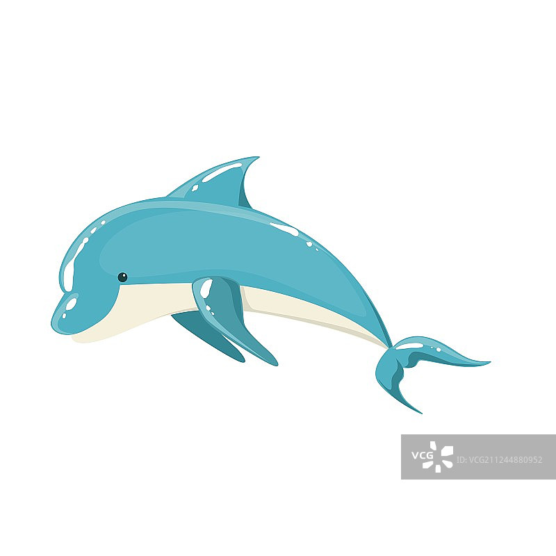 蓝色的宽吻海豚跃起嬉戏图片素材