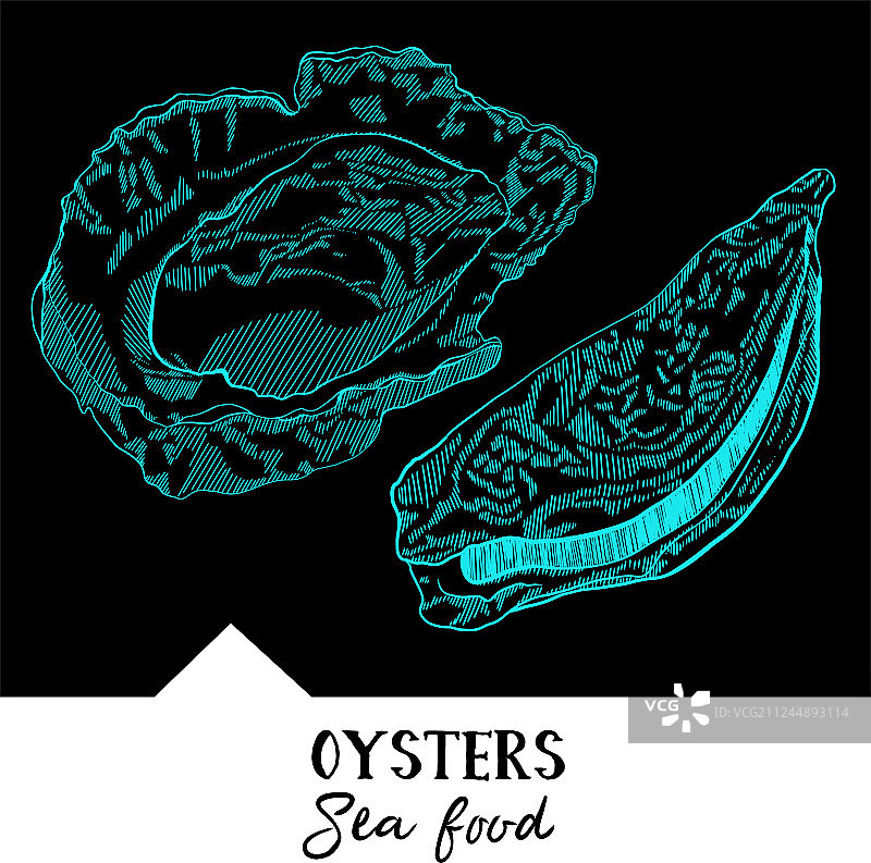 海鲜菜单上的牡蛎图片素材
