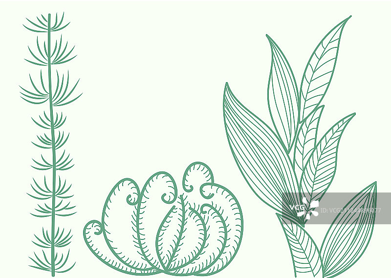 海底海藻物种合集图片素材