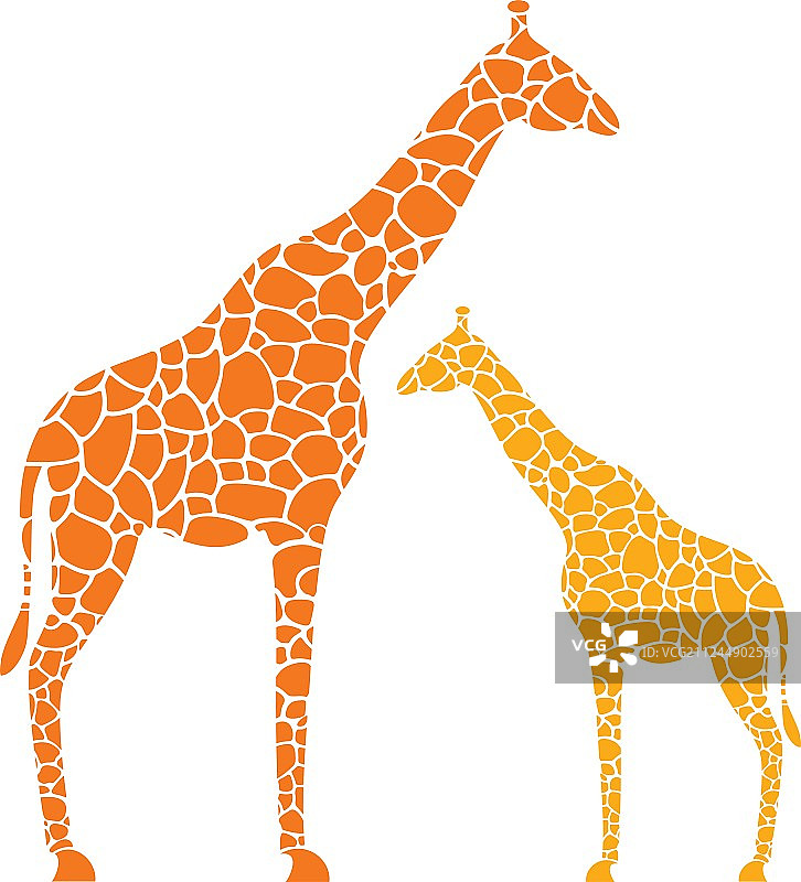 长颈鹿家庭图片素材