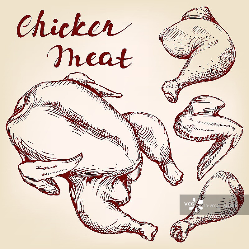 手绘鸡肉套餐插画图片素材