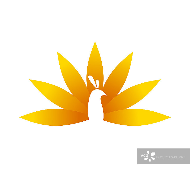 金色花型孔雀鸟图案设计图片素材