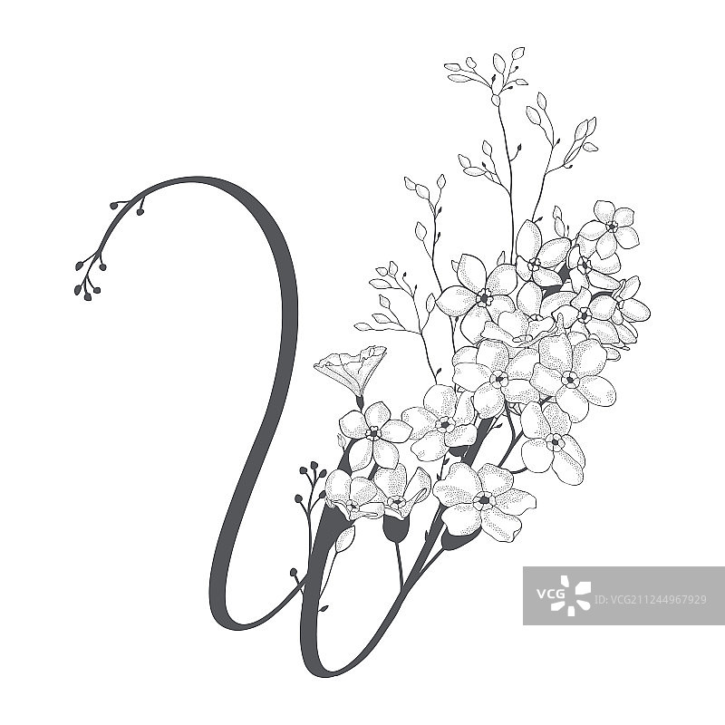 手绘花卉字母组合标志图片素材