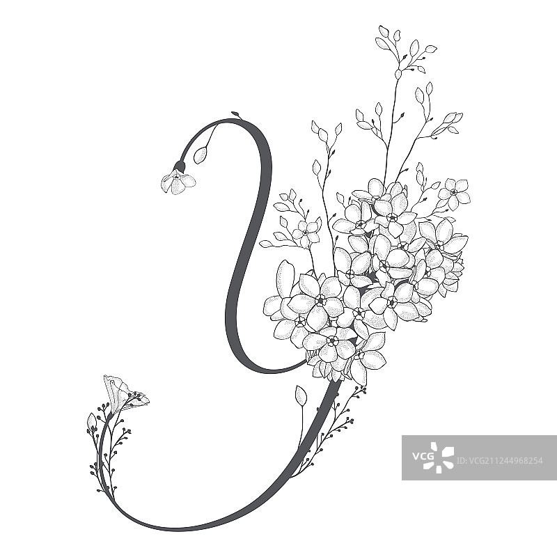 手绘花卉Y字母组合和标志图片素材