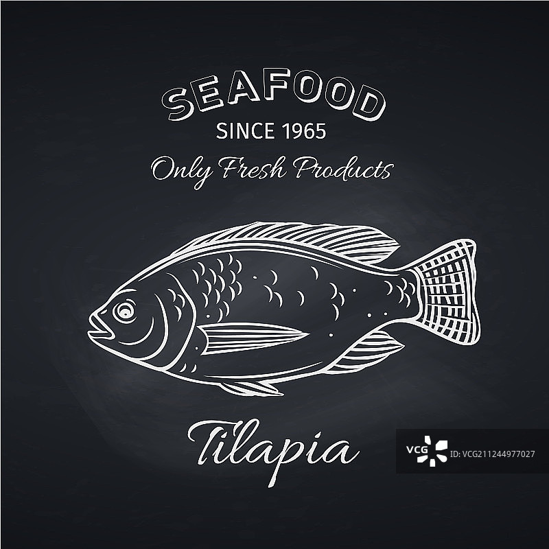 手绘罗非鱼图标徽章图片素材