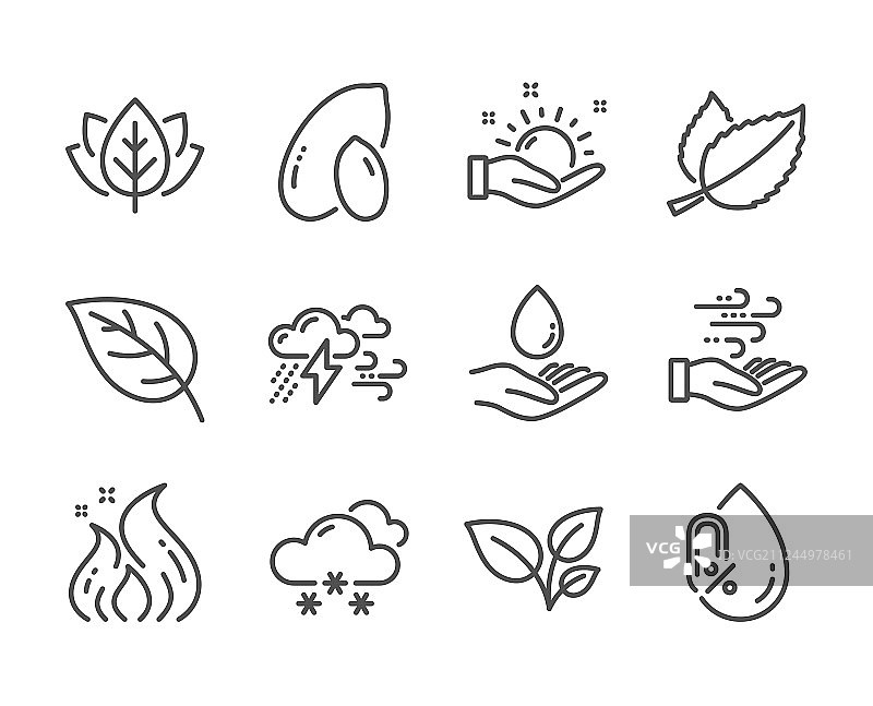 花生叶等自然图标图片素材