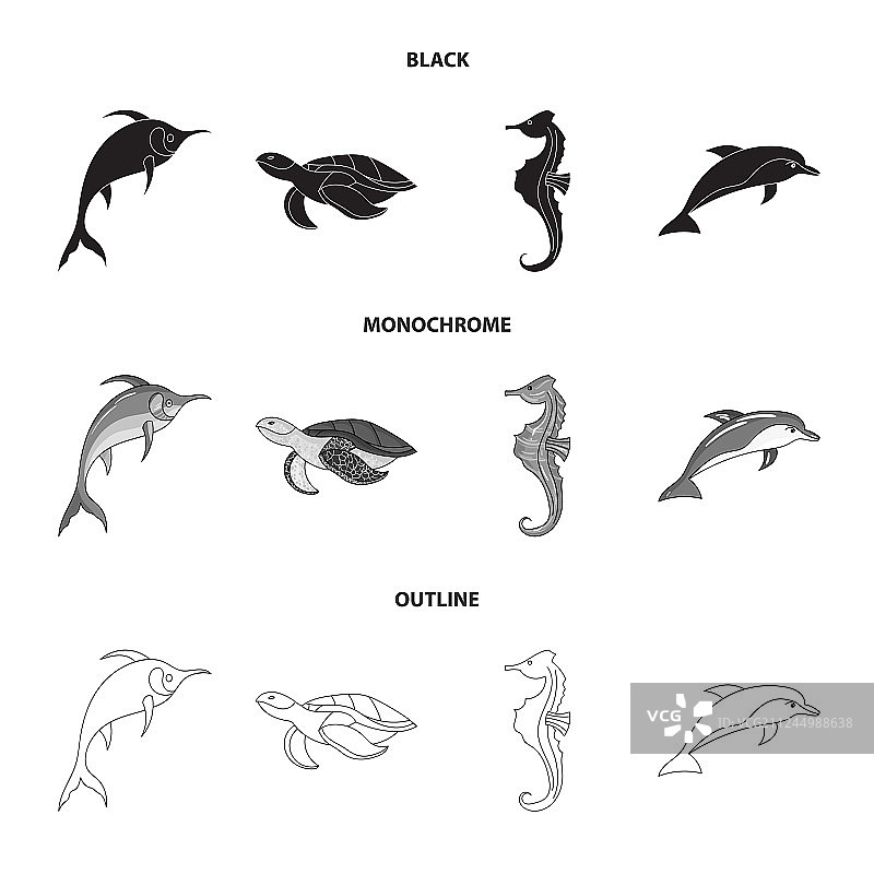灰背隼龟和其他海洋动物图片素材