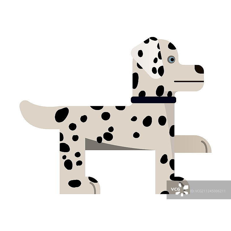 站立的斑点狗图片素材