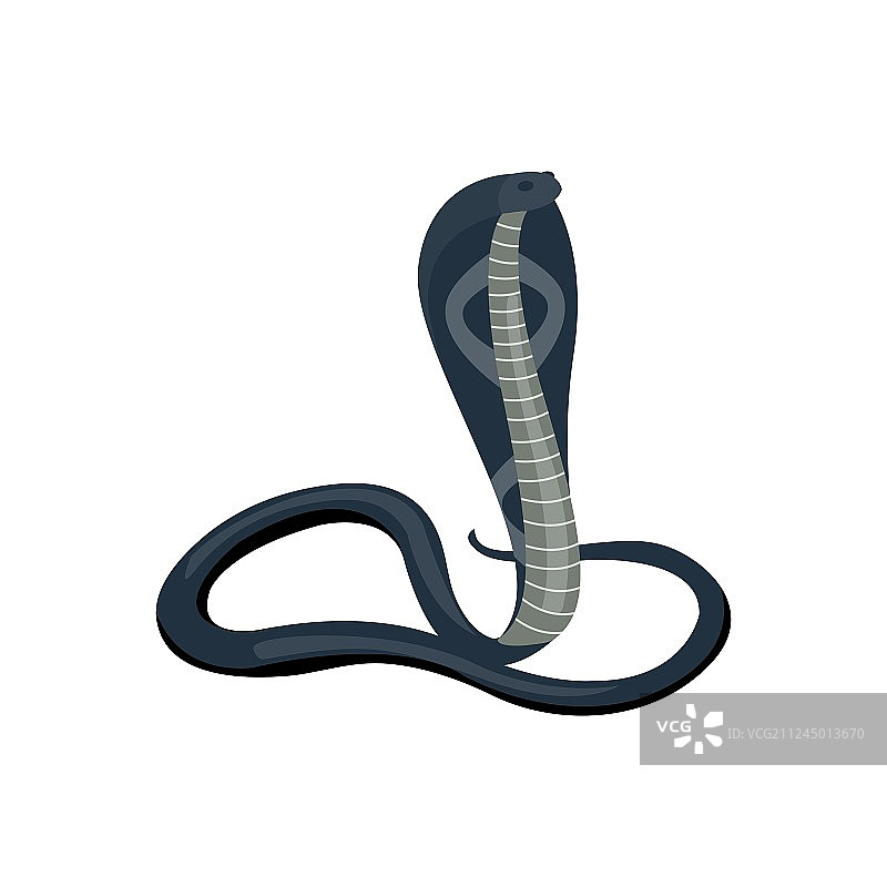 蛇类爬行动物卡通图片素材
