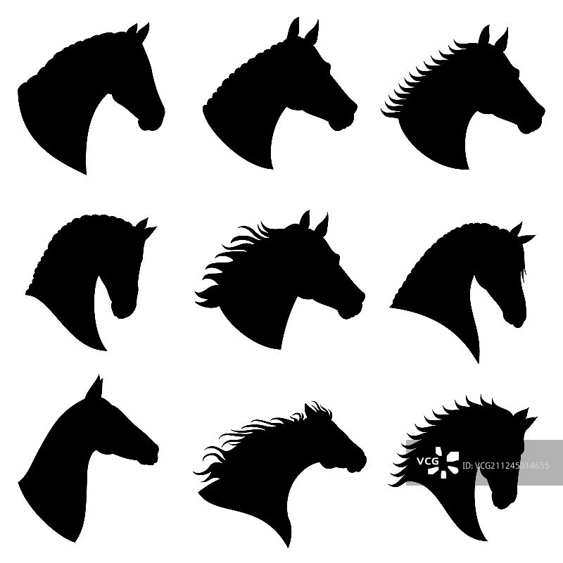 马头轮廓剪影图片素材