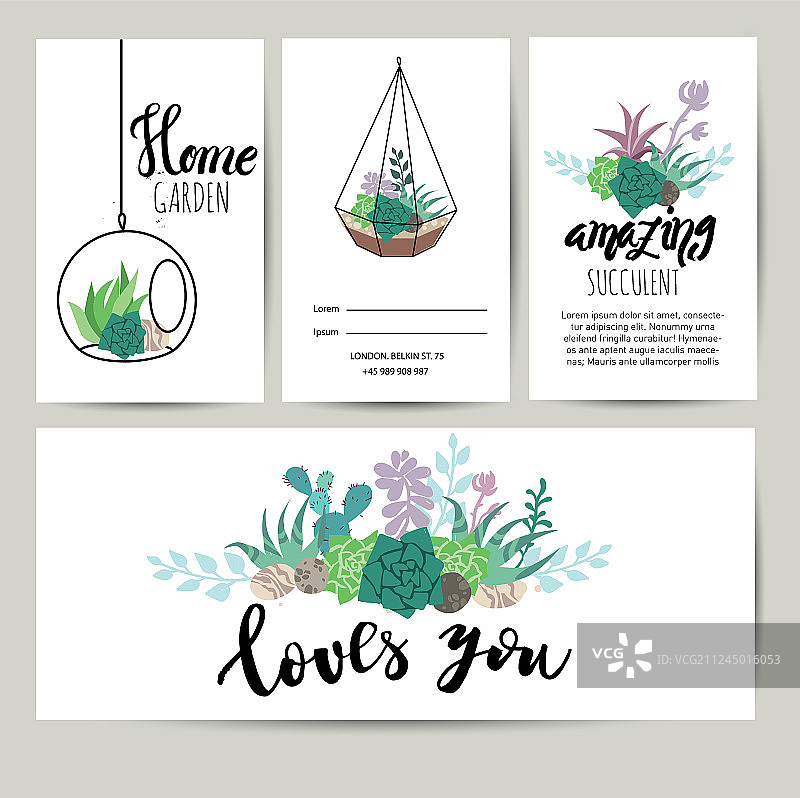 多肉植物贺卡邀请函图片素材