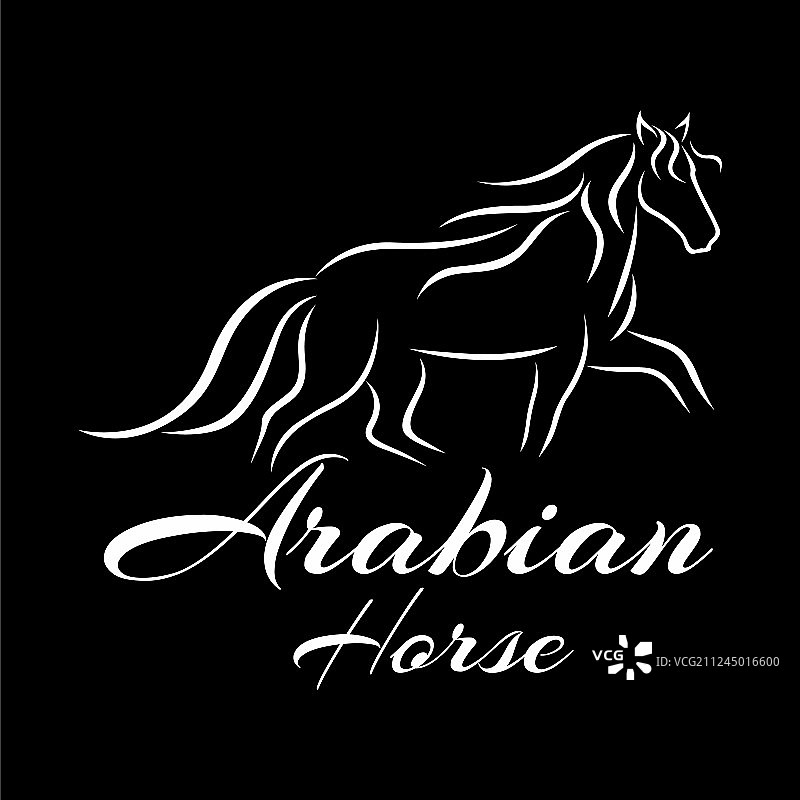 现代马标志图片素材