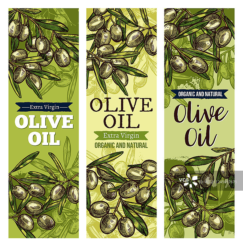 绿色水果树叶橄榄油标签设计图片素材