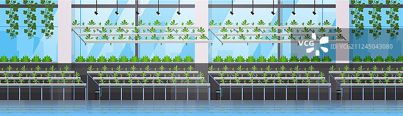 有机水培绿色植物栽培图片素材