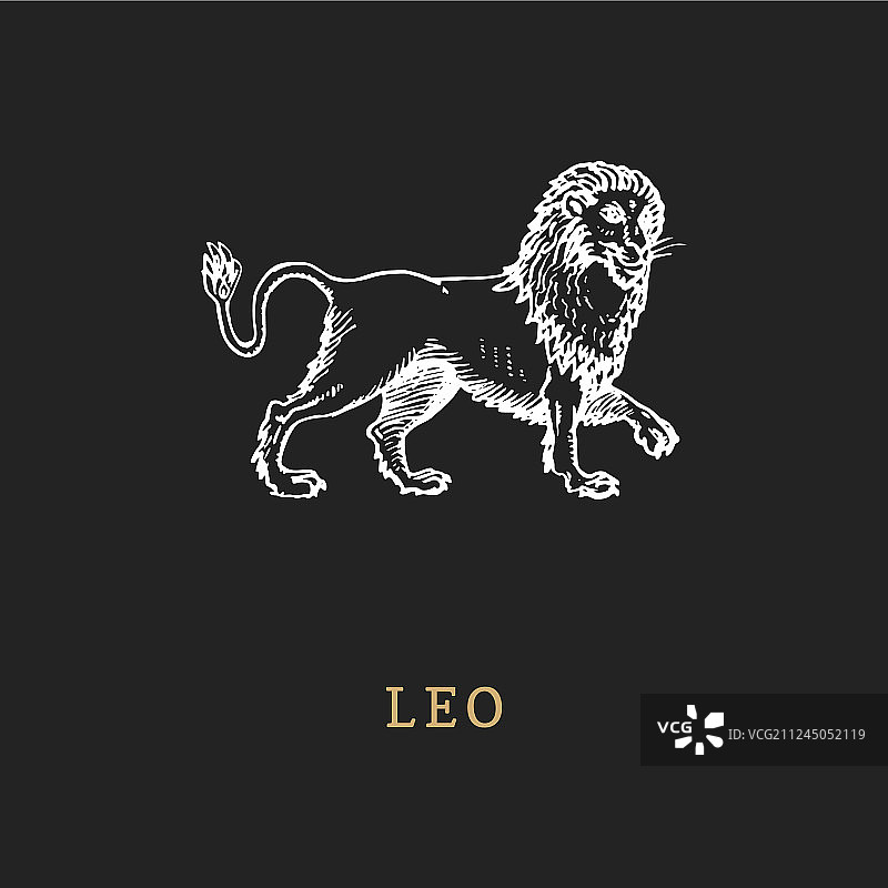 狮子座黄道符号雕刻风格手绘图片素材