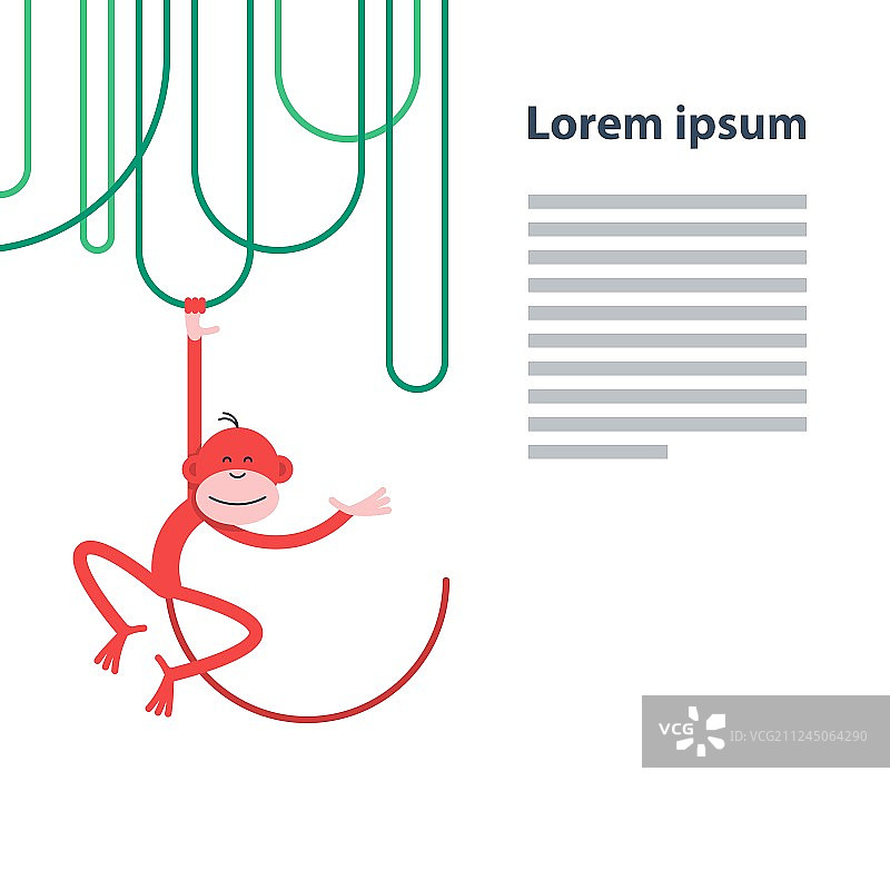 微笑悬挂的有趣猴子图片素材