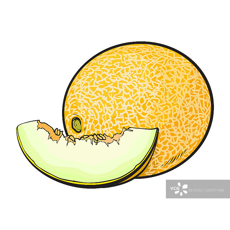 白色背景上成熟多汁的黄色甜瓜图片素材