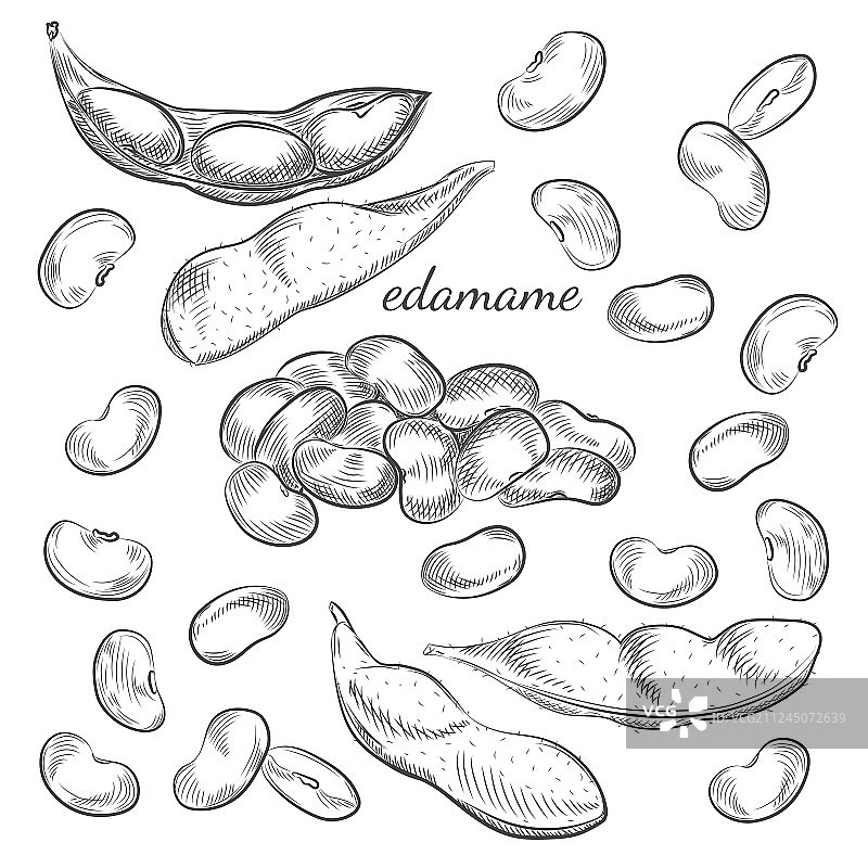 白色背景下的毛豆图片素材