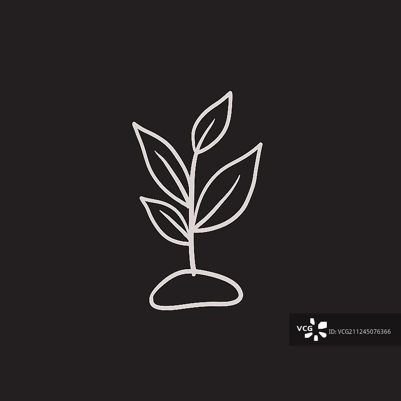 豆芽速写图标图片素材