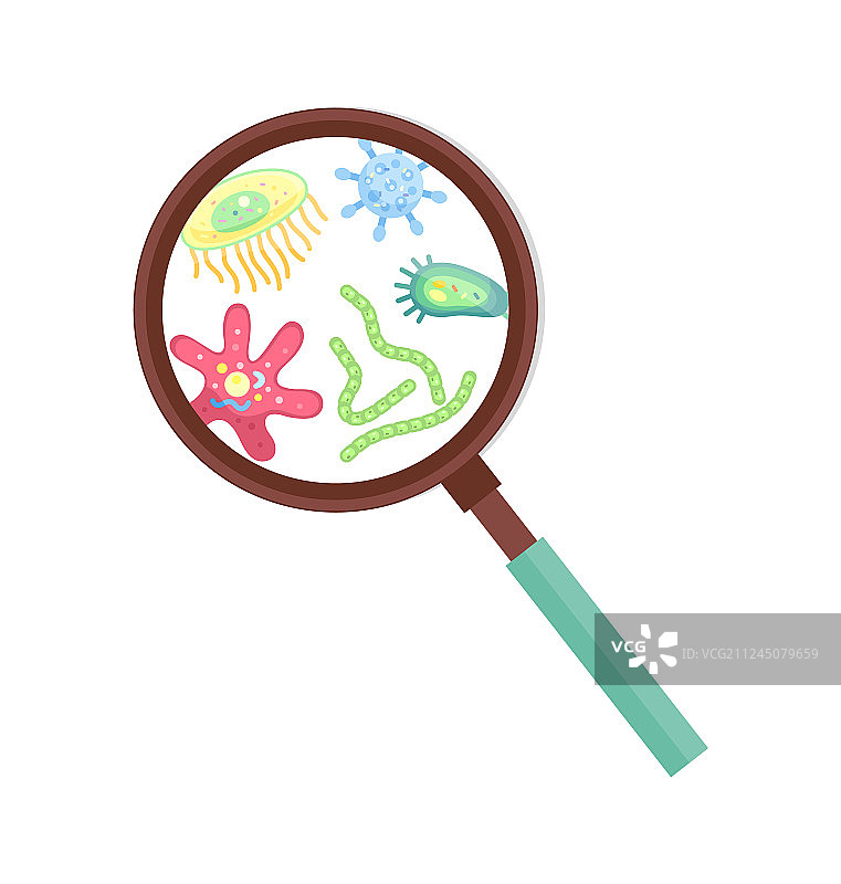用放大镜放大的微观细菌生物图片素材