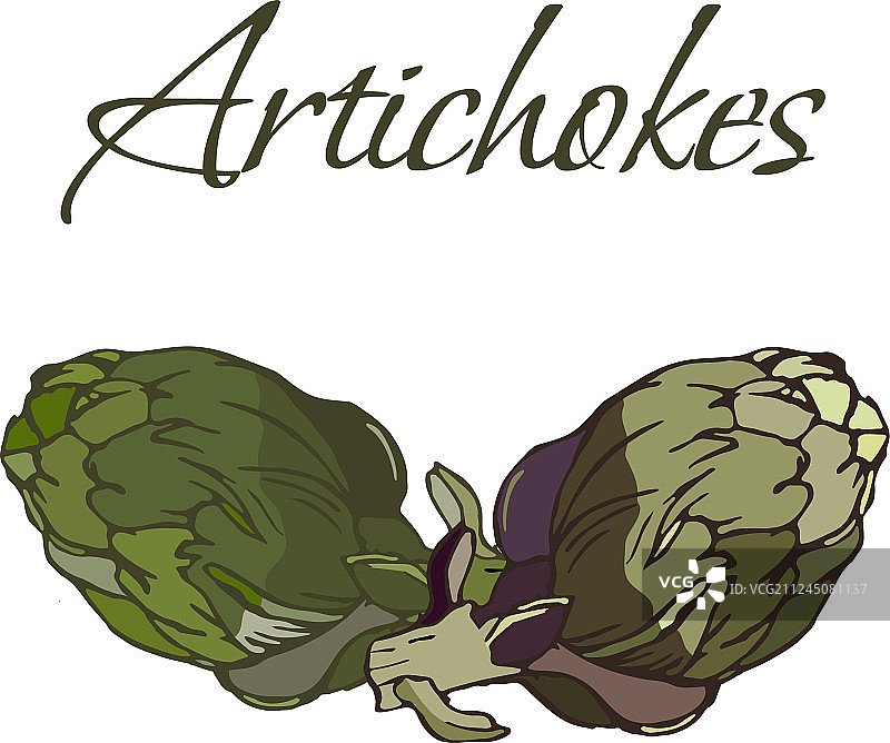 美味朝鲜蓟蔬菜图片素材