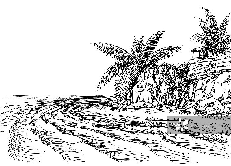海景：小海滩和棕榈树图片素材