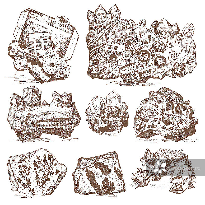 植物化石矿物晶体图片素材