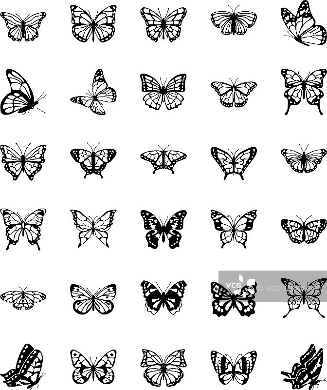 蝴蝶实体图标合集图片素材