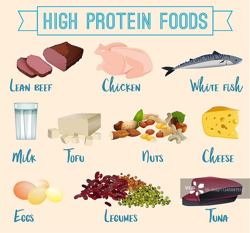 高蛋白食物合集图片素材