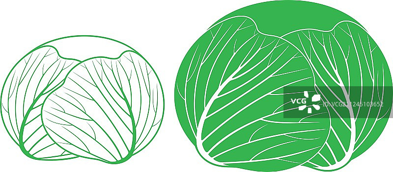 卷心菜轮廓剪影图片素材