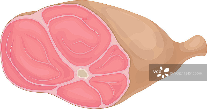 白色背景上的带骨生肉图片素材