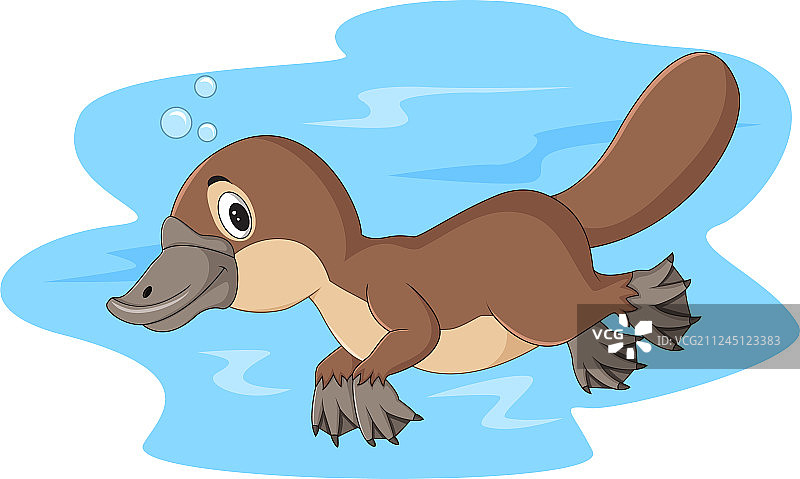 游泳的快乐卡通鸭嘴兽图片素材