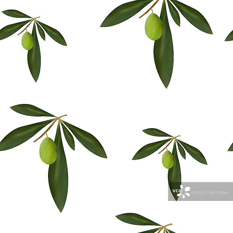绿色橄榄树无缝图案图片素材