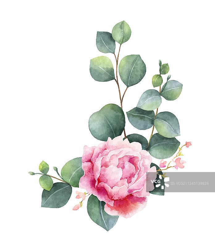 绿色桉树水彩花环图片素材